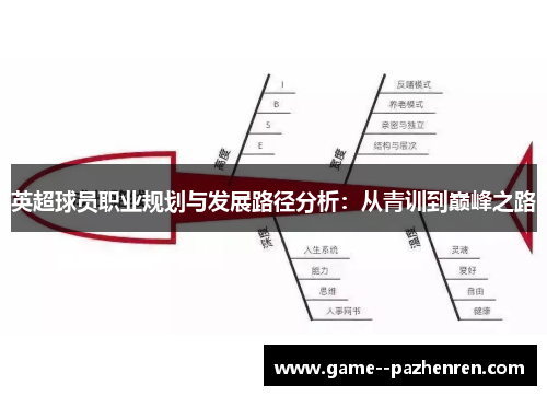 英超球员职业规划与发展路径分析：从青训到巅峰之路